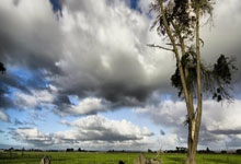 戴尔电脑专用系统下载,戴尔电脑系统安装